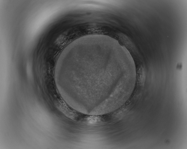 X0000115360762200911241216
