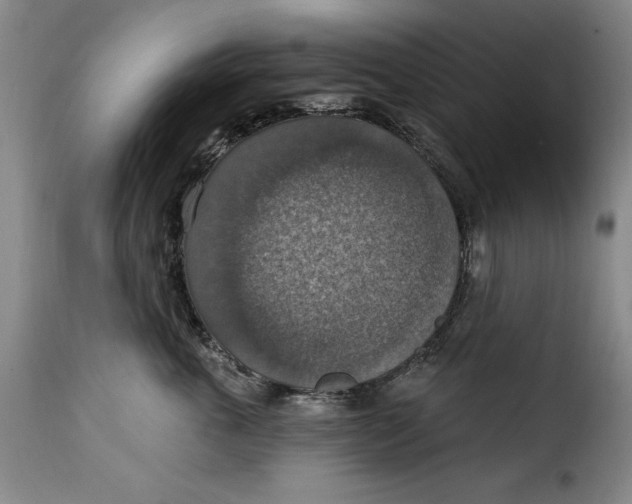 X0000115360763200911241216