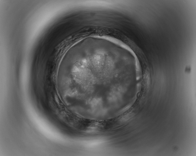 X0000115360765200911241216