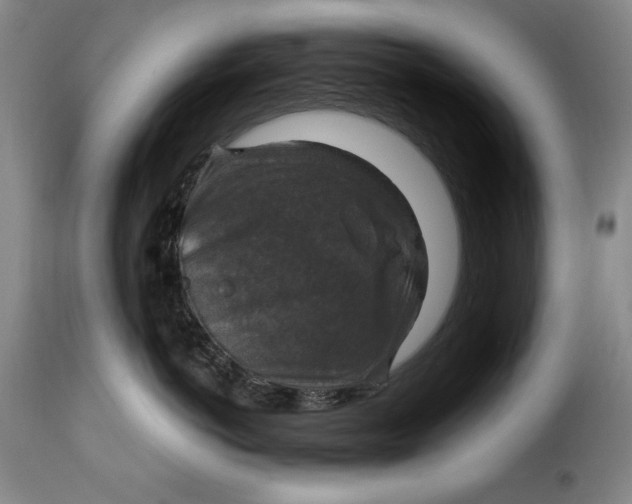 X0000115360766200911241216