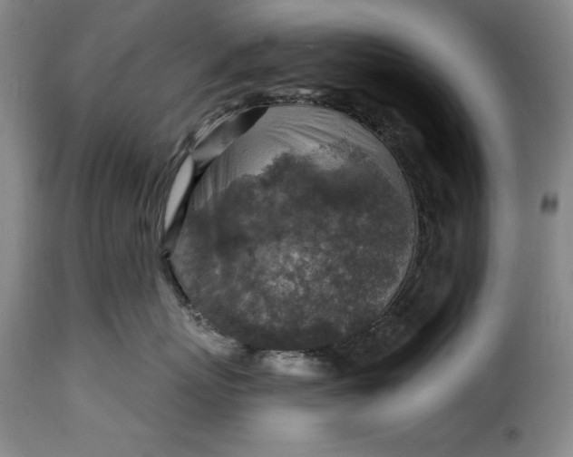 X0000115360767200911241216