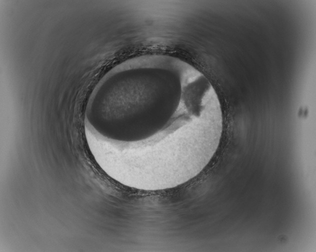 X0000115360769200911241216