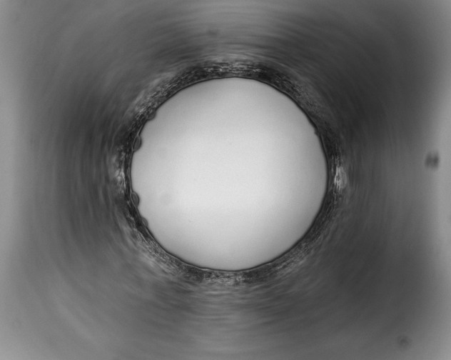 X0000115360771200911241216