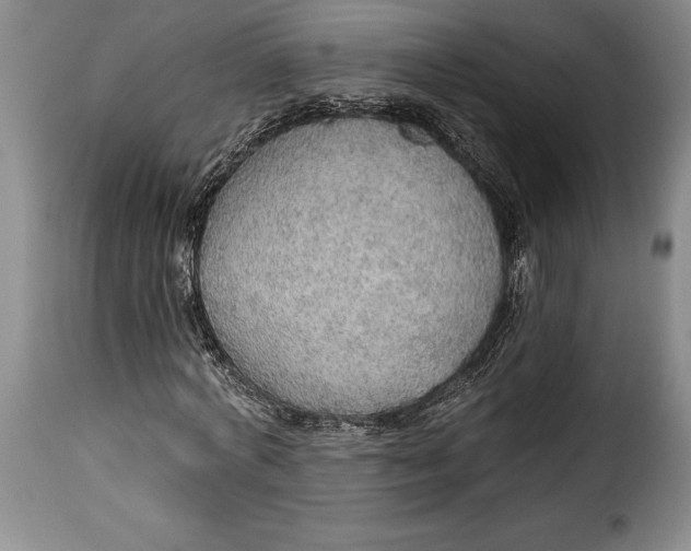X0000115360772200911241216