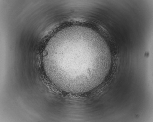 X0000115360774200911241216