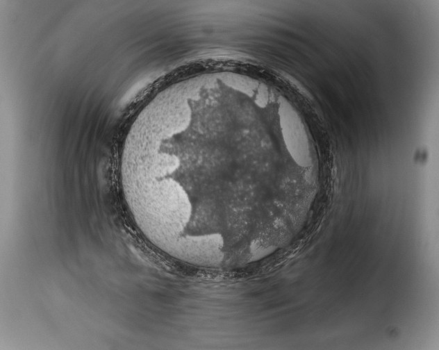 X0000115360775200911241216