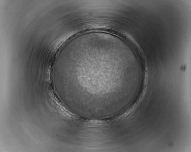 X0000115360777200911241216
