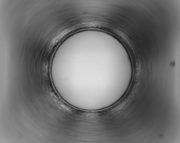 X0000115360778200911241216