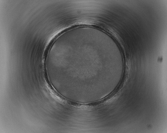 X0000115360779200911241216