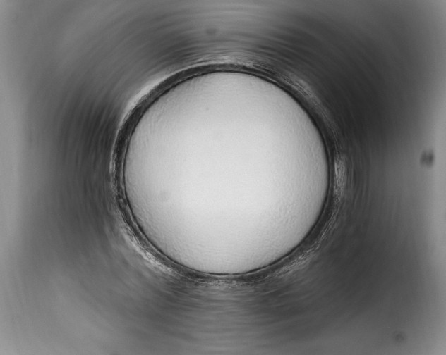 X0000115360780200911241216