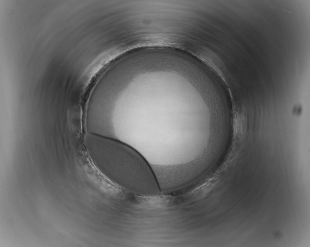 X0000115360781200911241216
