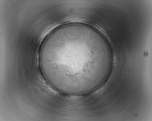 X0000115360782200911241216