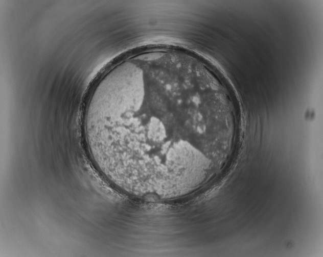 X0000115360783200911241216