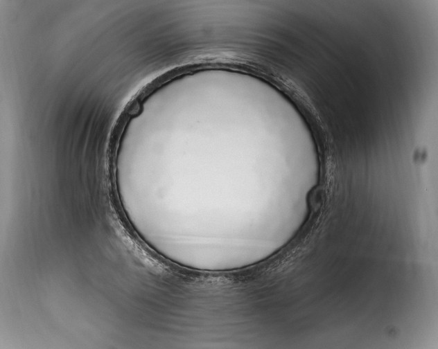 X0000115360784200911241216