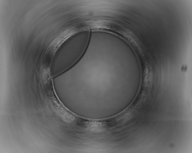 X0000115360785200911241216