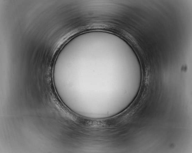 X0000115360786200911241216