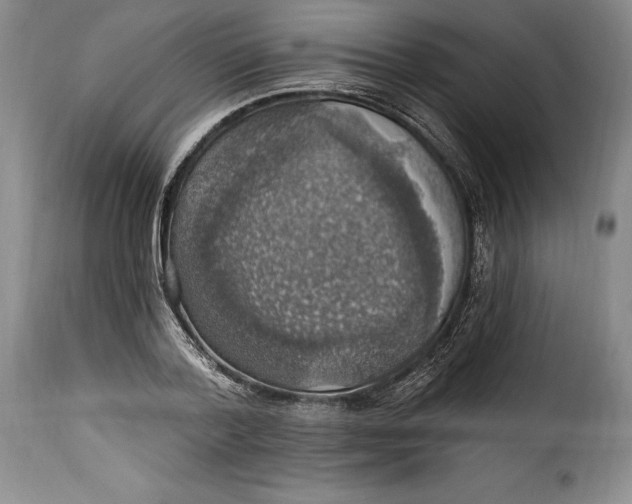 X0000115360788200911241216
