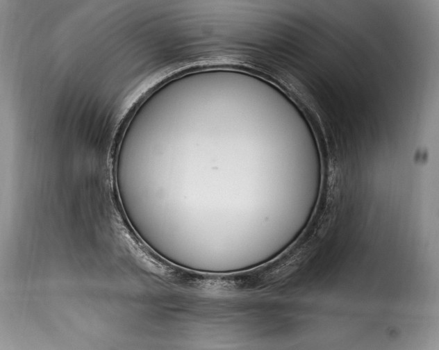 X0000115360789200911241216