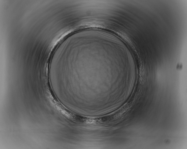 X0000115360790200911241216