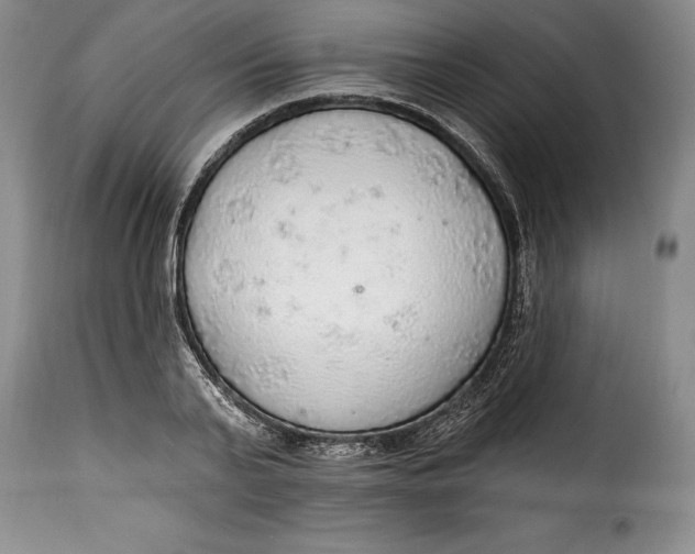 X0000115360791200911241215