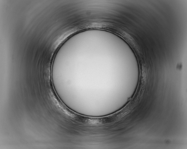 X0000115360794200911241215