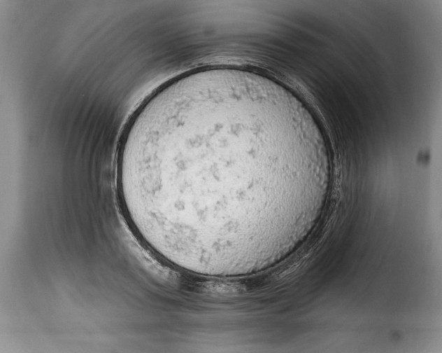 X0000115360795200911241215