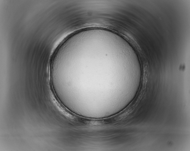 X0000115360796200911241215