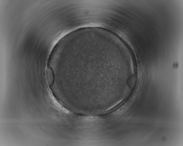 X0000115360797200911241215