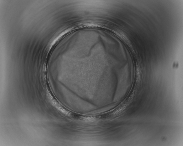 X0000115360798200911241215
