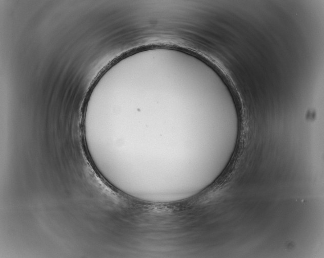 X0000115360799200911241215