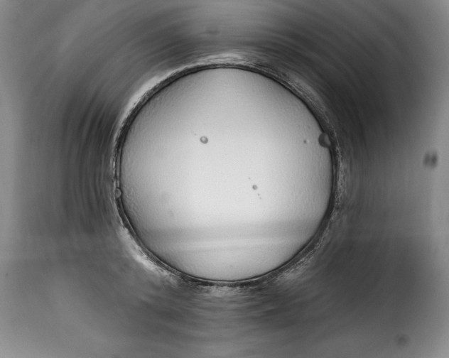 X0000115360800200911241215