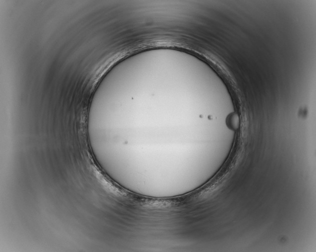 X0000115360801200911241215