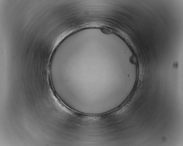 X0000115360802200911241215