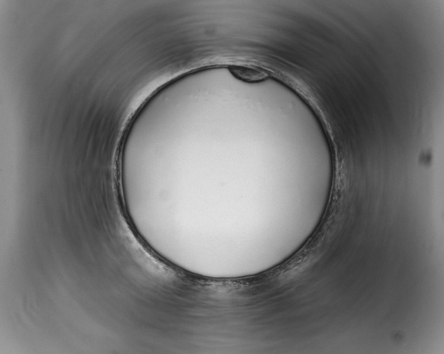 X0000115360803200911241215