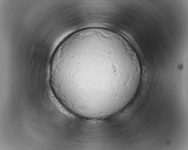 X0000115360804200911241215