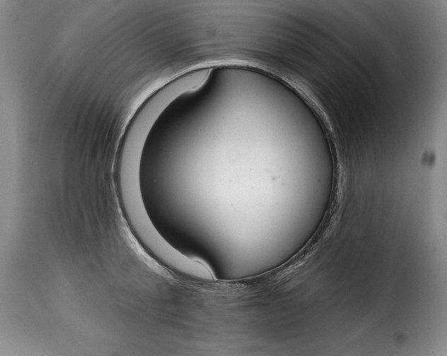 X0000115360805200911241215