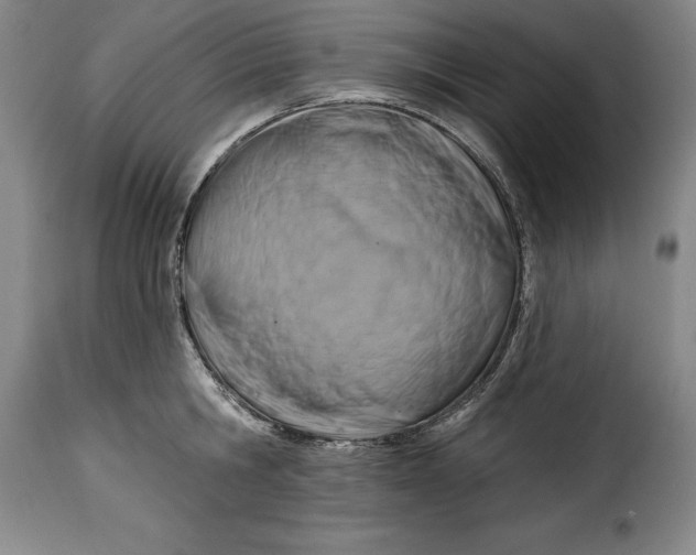 X0000115360806200911241215
