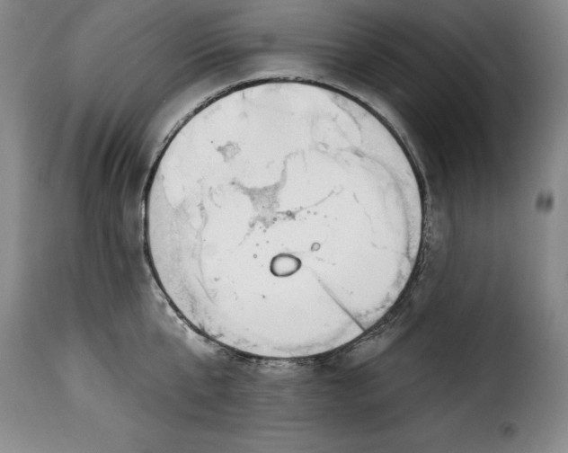 X0000115360807200911241215
