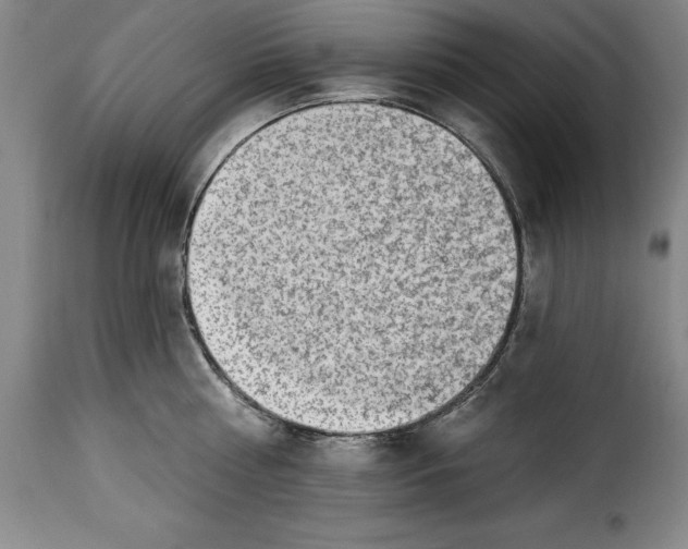 X0000115360810200911241215