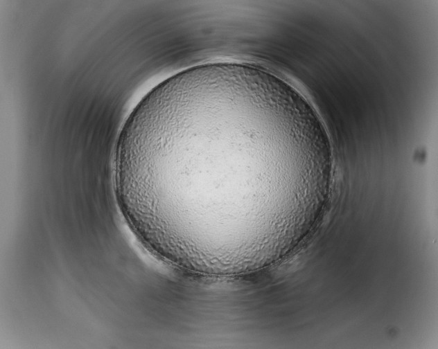 X0000115360811200911241215