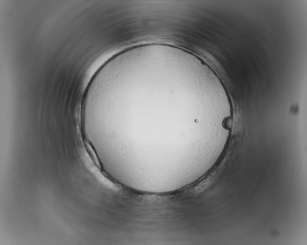 X0000115360812200911241215