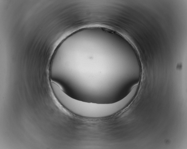 X0000115360813200911241215