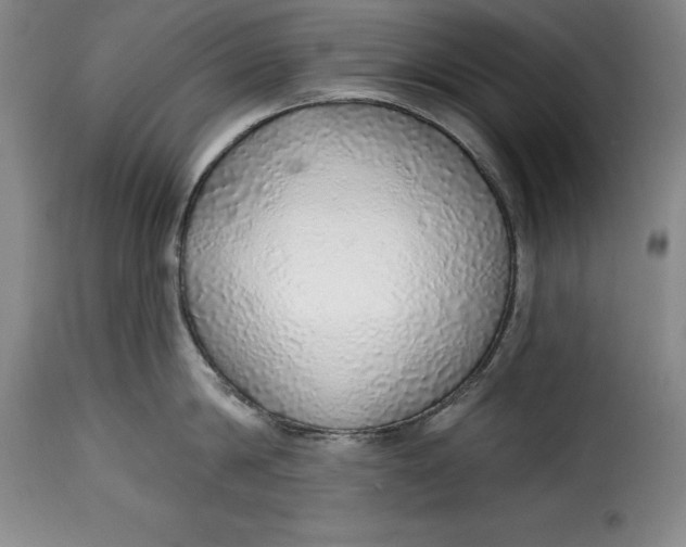 X0000115360814200911241215