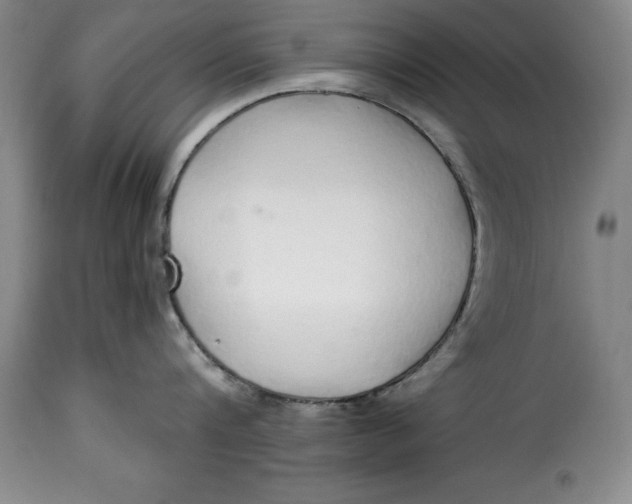 X0000115360816200911241215