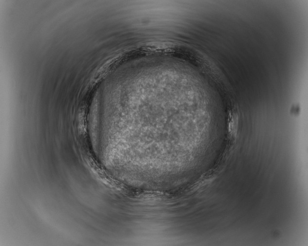X0000115360819200911241214