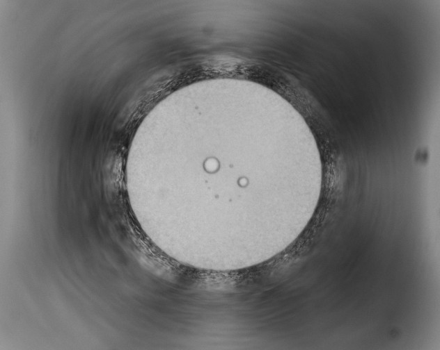 X0000115360820200911241214