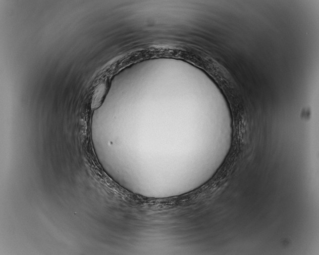 X0000115360821200911241214