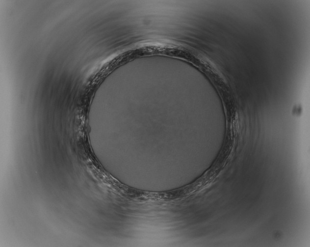 X0000115360822200911241214