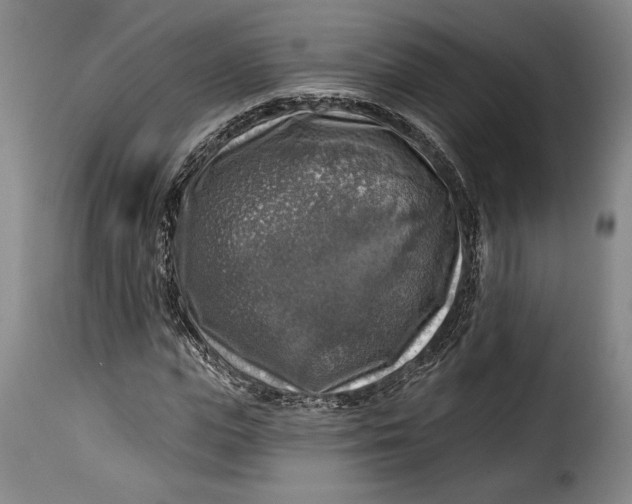 X0000115360823200911241214