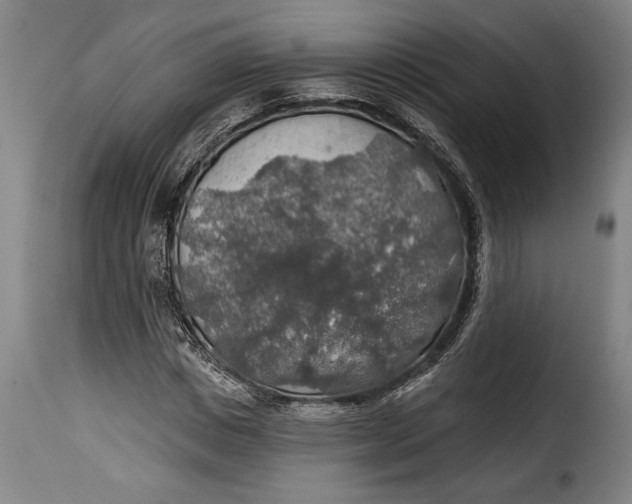 X0000115360825200911241214